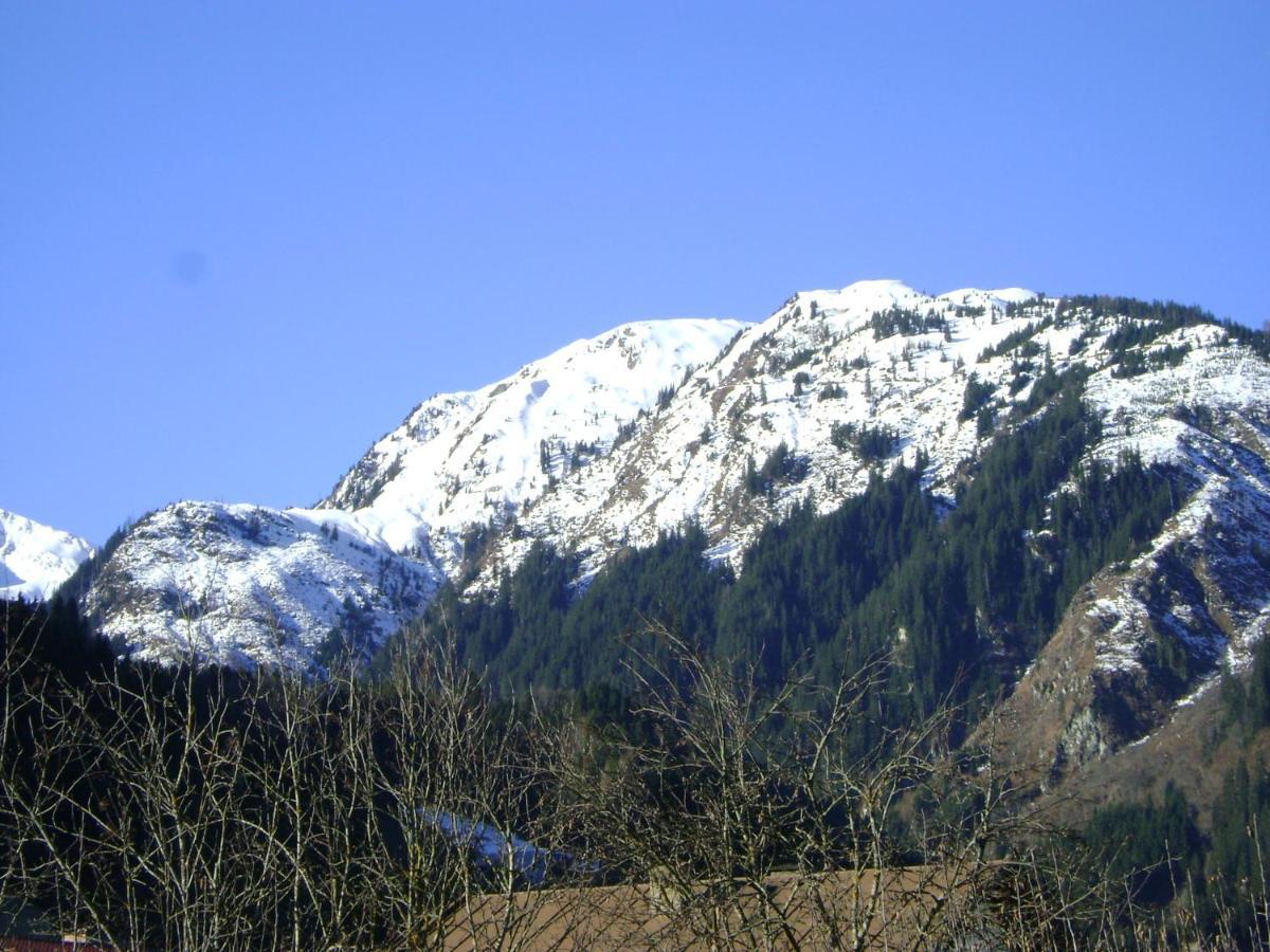 Ferienwohnung Fred Hollersbach im Pinzgau Luaran gambar